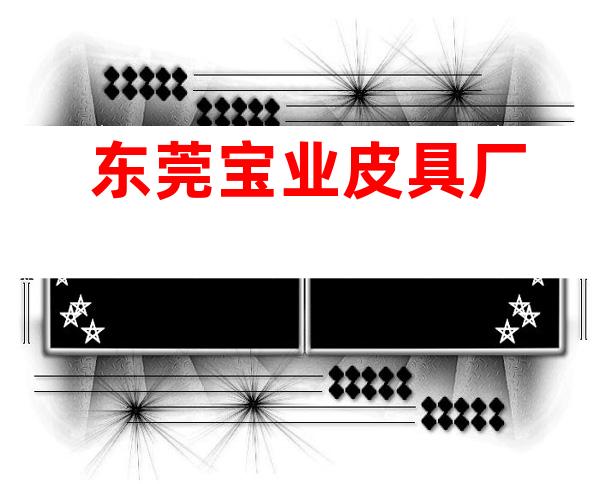 东莞宝业皮具厂